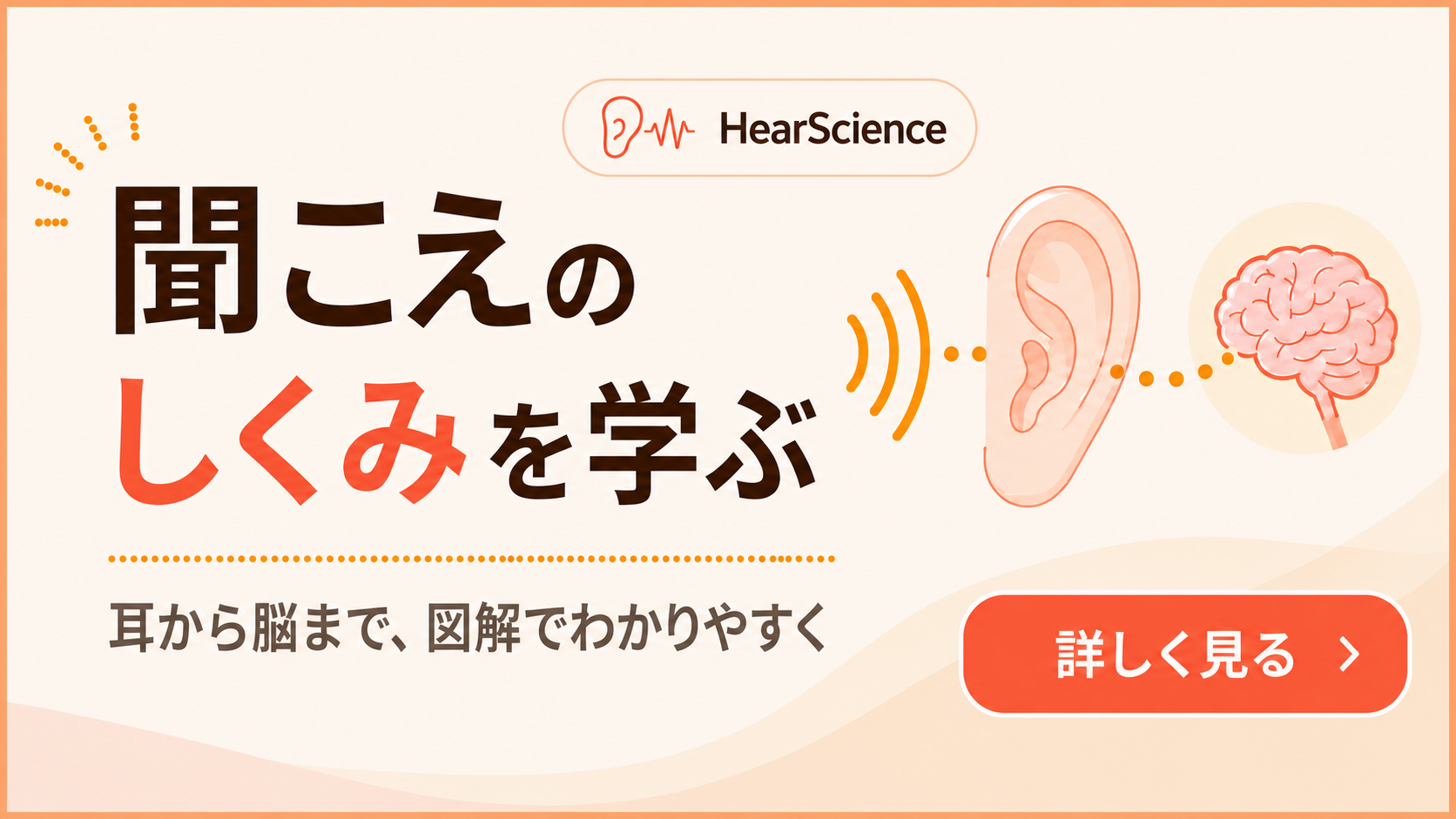 聞こえのしくみを学ぶ