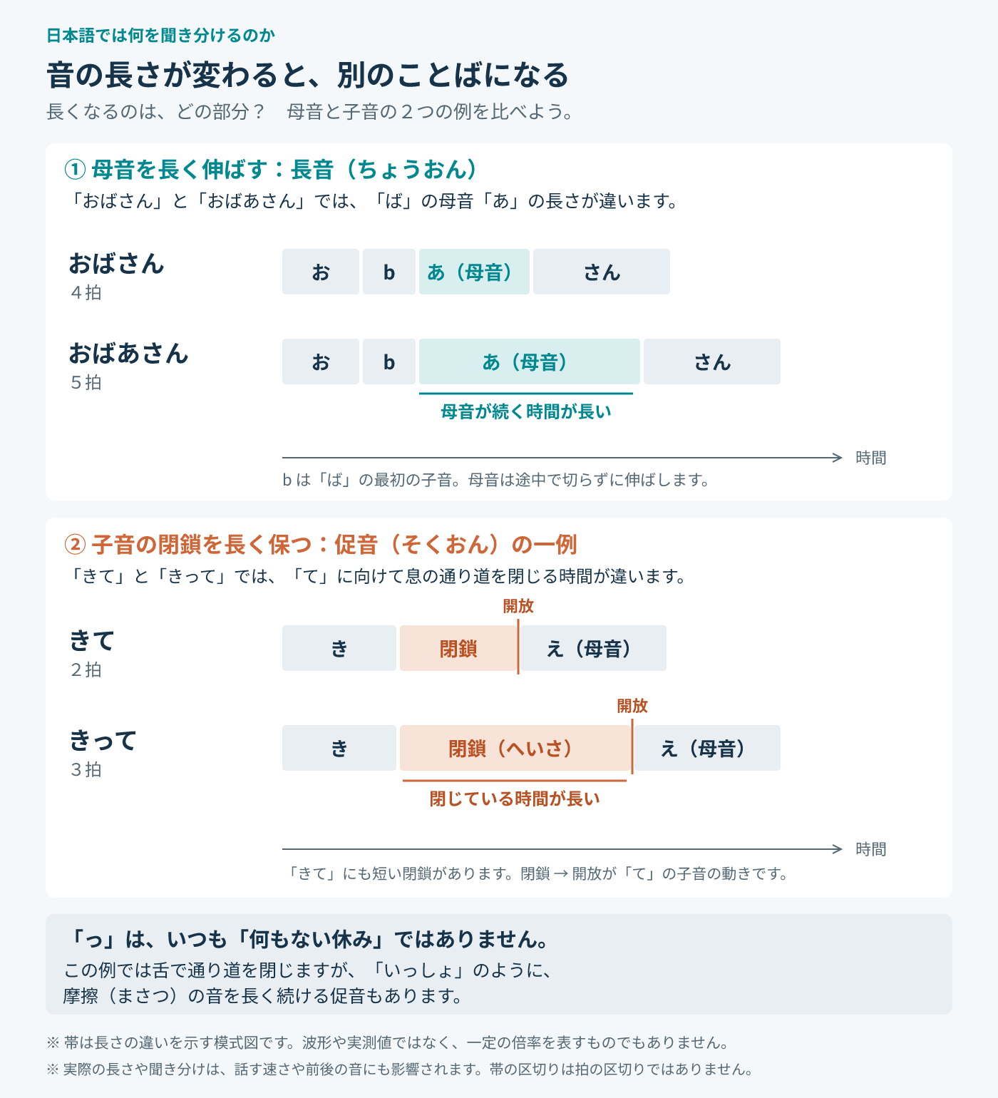 音の長さの違いを帯で比べた模式図。①長音：「おばさん」（４拍）と「おばあさん」（５拍）では、「ば」の母音「あ」が続く時間が長い。②促音の一例：「きて」（２拍）と「きって」（３拍）では、「て」に向けて息の通り道を閉じる閉鎖の時間が長い。「きて」にも短い閉鎖がある。「っ」はいつも何もない休みではなく、「いっしょ」のように摩擦の音を長く続ける促音もある。帯は実測値ではない。