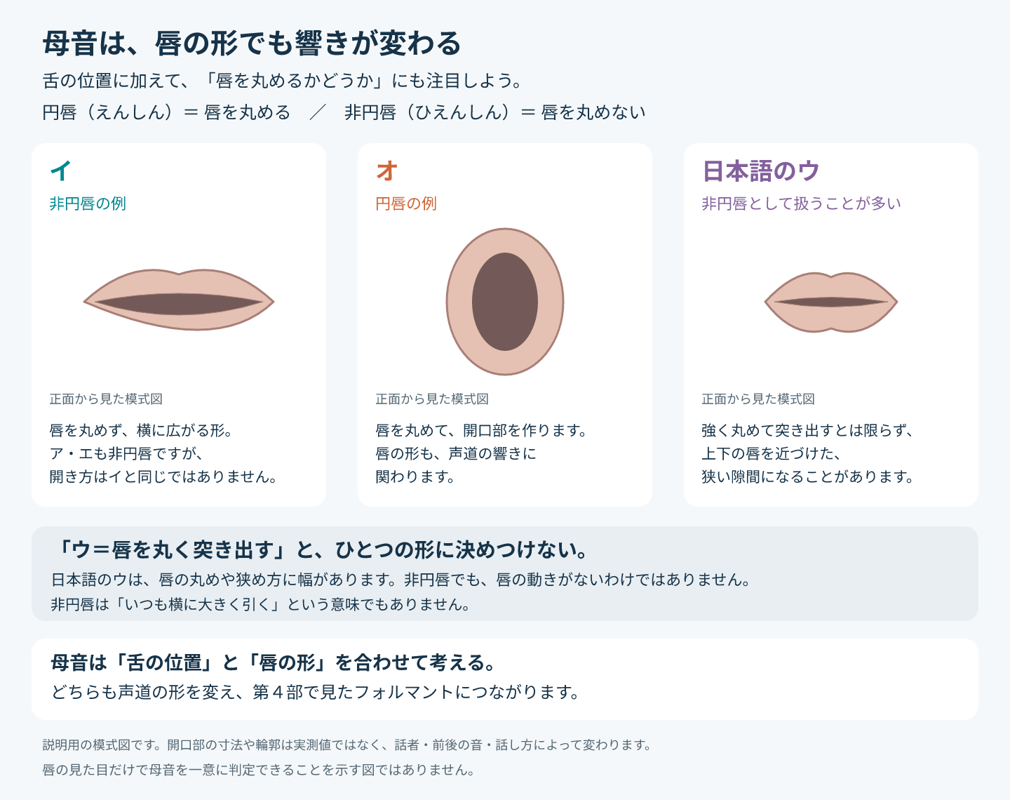 イ・オ・日本語のウの唇を正面から見た模式図。円唇は唇を丸めること、非円唇は唇を丸めないこと。イ：非円唇の例で、唇を丸めず横に広がる形。ア・エも非円唇だが開き方はイと同じではない。オ：円唇の例で、唇を丸めて開口部を作る。日本語のウ：非円唇として扱うことが多く、強く丸めて突き出すとは限らず、上下の唇を近づけた狭い隙間になることがある。「ウ＝唇を丸く突き出す」とひとつの形に決めつけない。母音は舌の位置と唇の形を合わせて考える。唇の見た目だけで母音を一意に判定できることを示す図ではない。